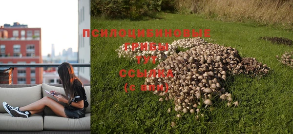 a pvp Богородск