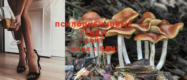 кокаин премиум Богородицк