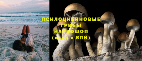 a pvp Богородск