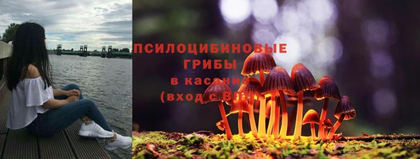 кокаин премиум Богородицк