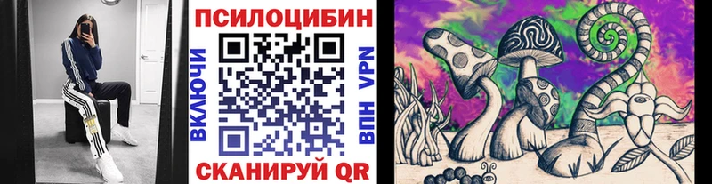 Псилоцибиновые грибы Magic Shrooms  Купить закладки  Ворсма 